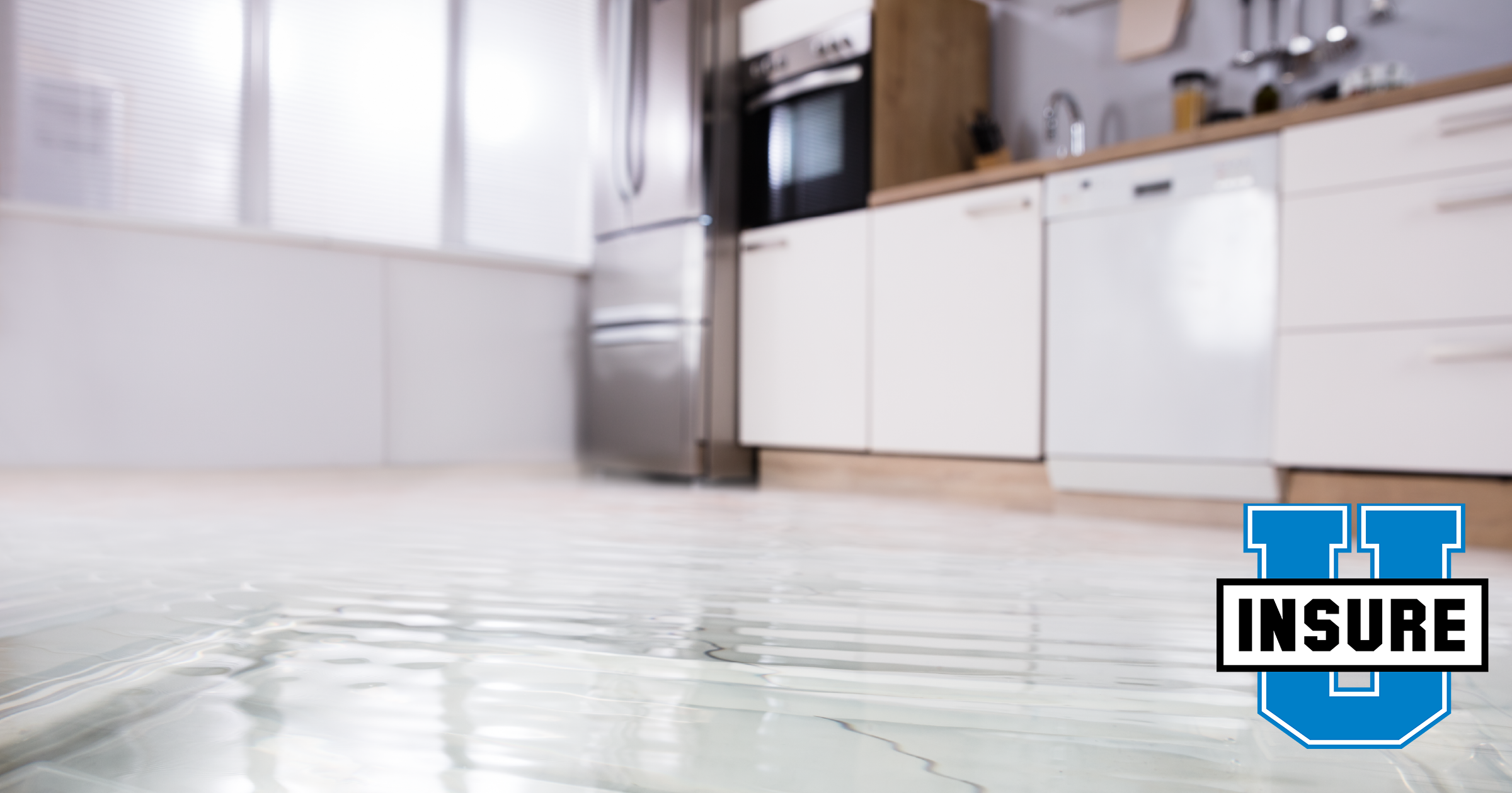 Special Section Flood Insurance