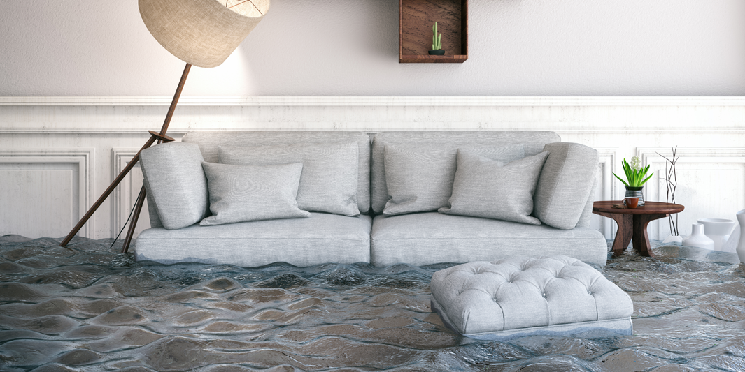 Flood Insurance Basics